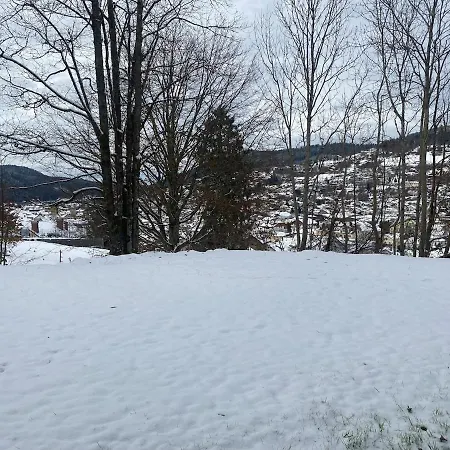 Apartmán Avec Jardin Privatif Gérardmer