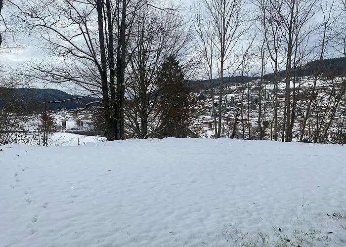Apartmán Avec Jardin Privatif Gérardmer